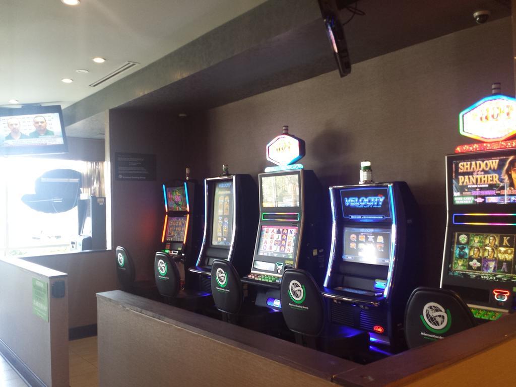 Wyndham Garden Elk Grove Village - O'Hare Luaran gambar
